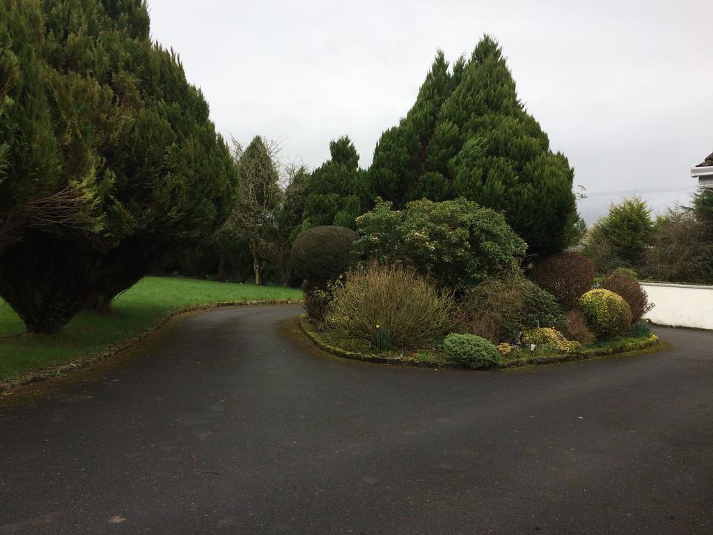 Palm Grove B&B Cashel (Tipperary) Buitenkant foto