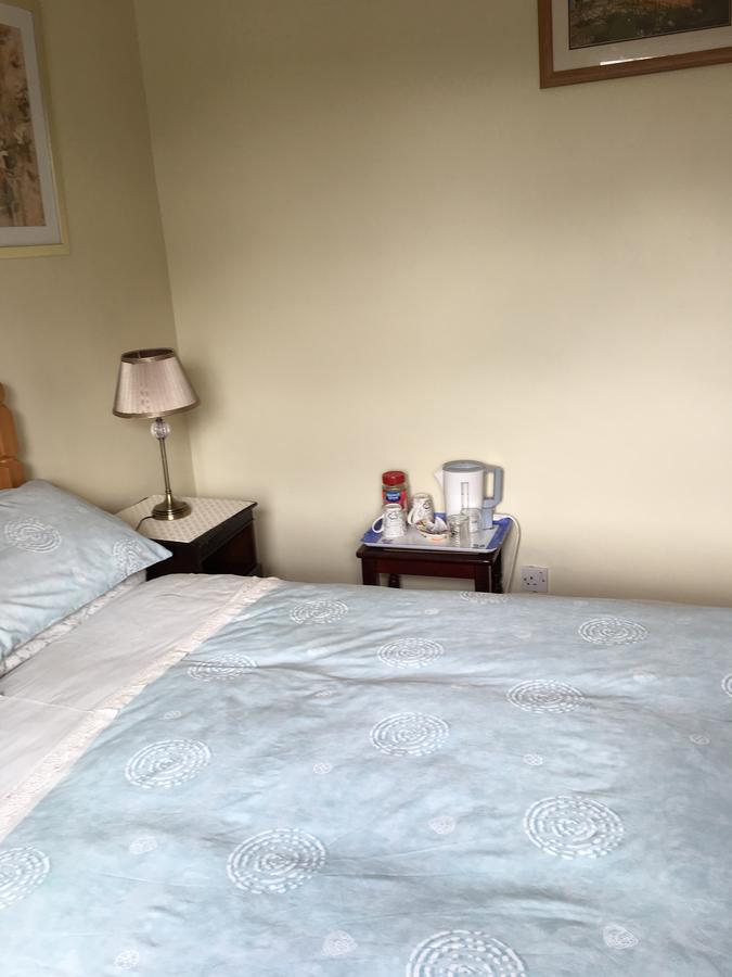 Palm Grove B&B Cashel (Tipperary) Buitenkant foto
