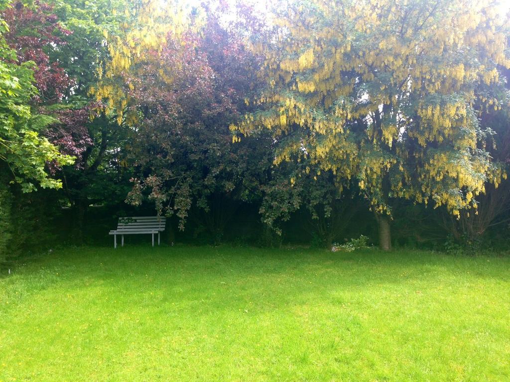 Palm Grove B&B Cashel (Tipperary) Kamer foto